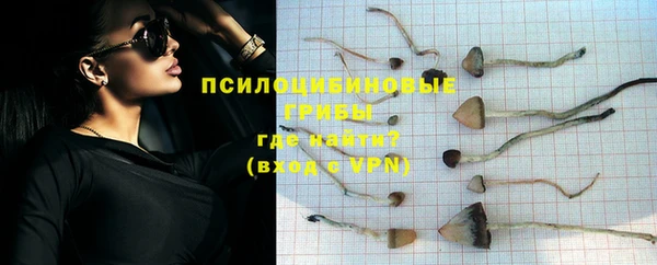 мет Новодвинск