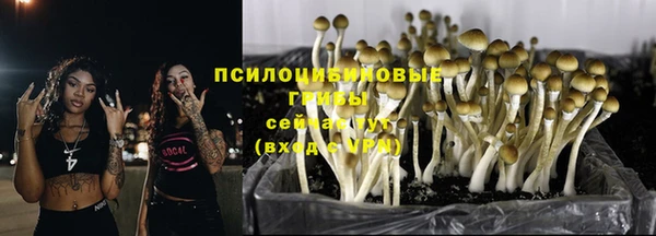бошки Новозыбков