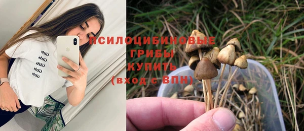 мет Новодвинск