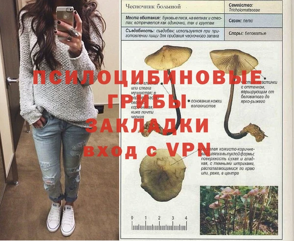 мет Новодвинск