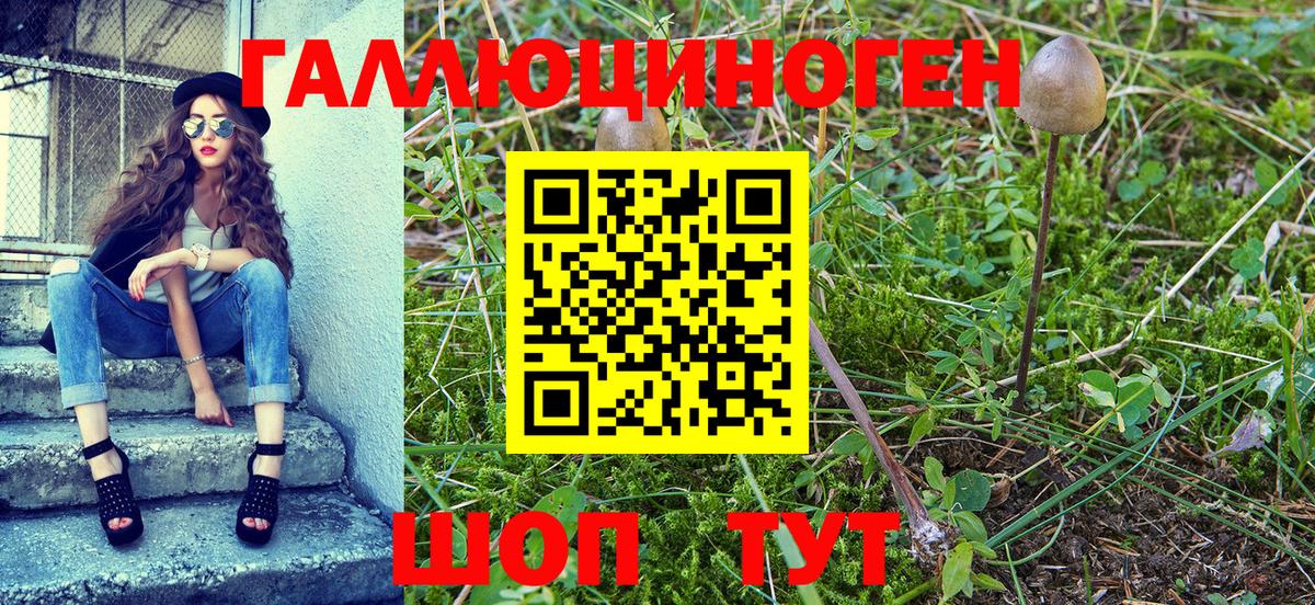 Галлюциногенные грибы мухоморы Ахтубинск