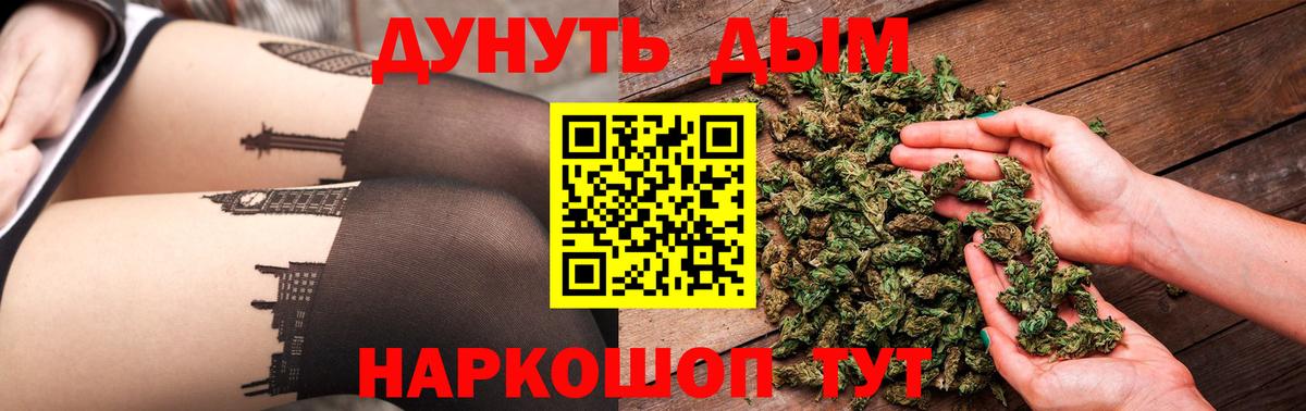 Конопля сатива Ахтубинск